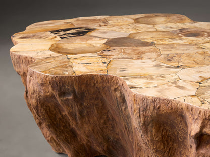 Clayhill Coffee Table