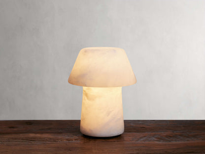 Daine Alabaster Outdoor Rechargeable Table Lamp