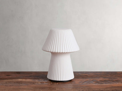 Daine Porcelain Outdoor Rechargeable Table Lamp
