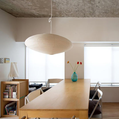 Oval Pendant Light