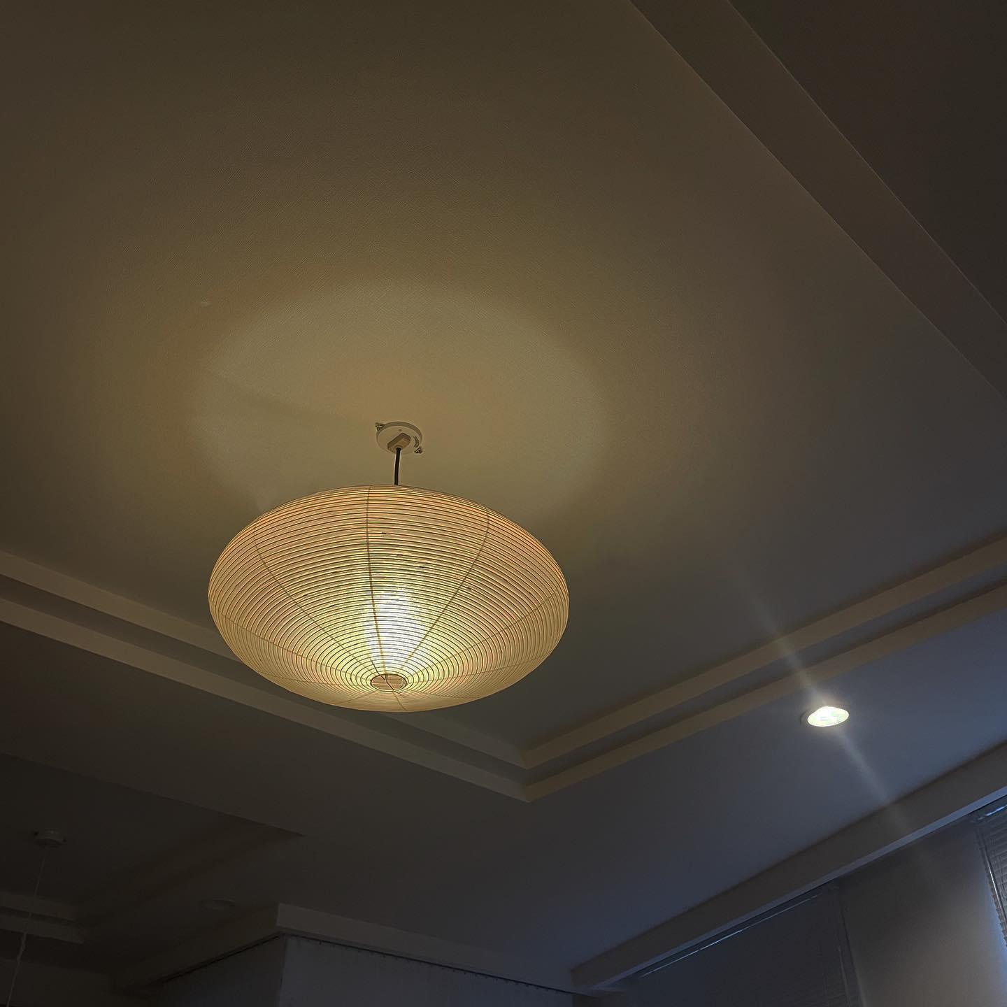 Oval Pendant Light