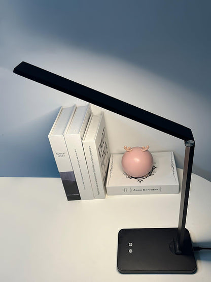 LED Desk Lamp with USB and Built-in Battery 13-inch