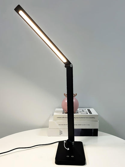 LED Desk Lamp with USB and Built-in Battery 13-inch