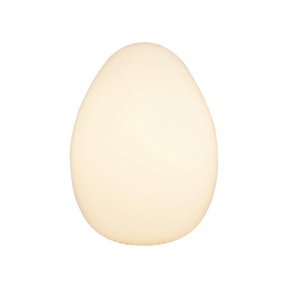 Modern Egg Table Lamp
